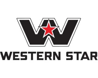 Icon representing western star