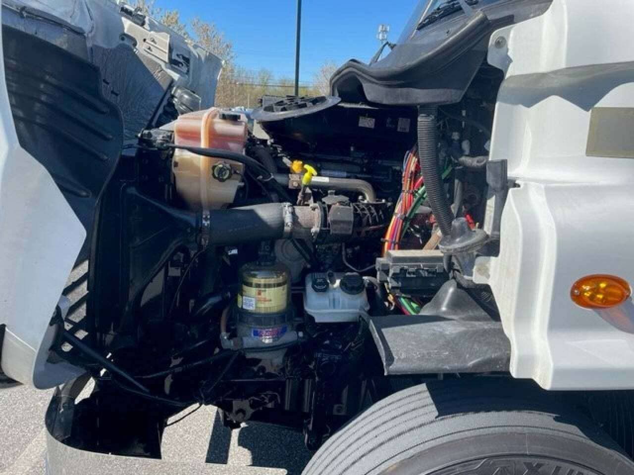 2019 Freightliner Cascadia 113 image 6
