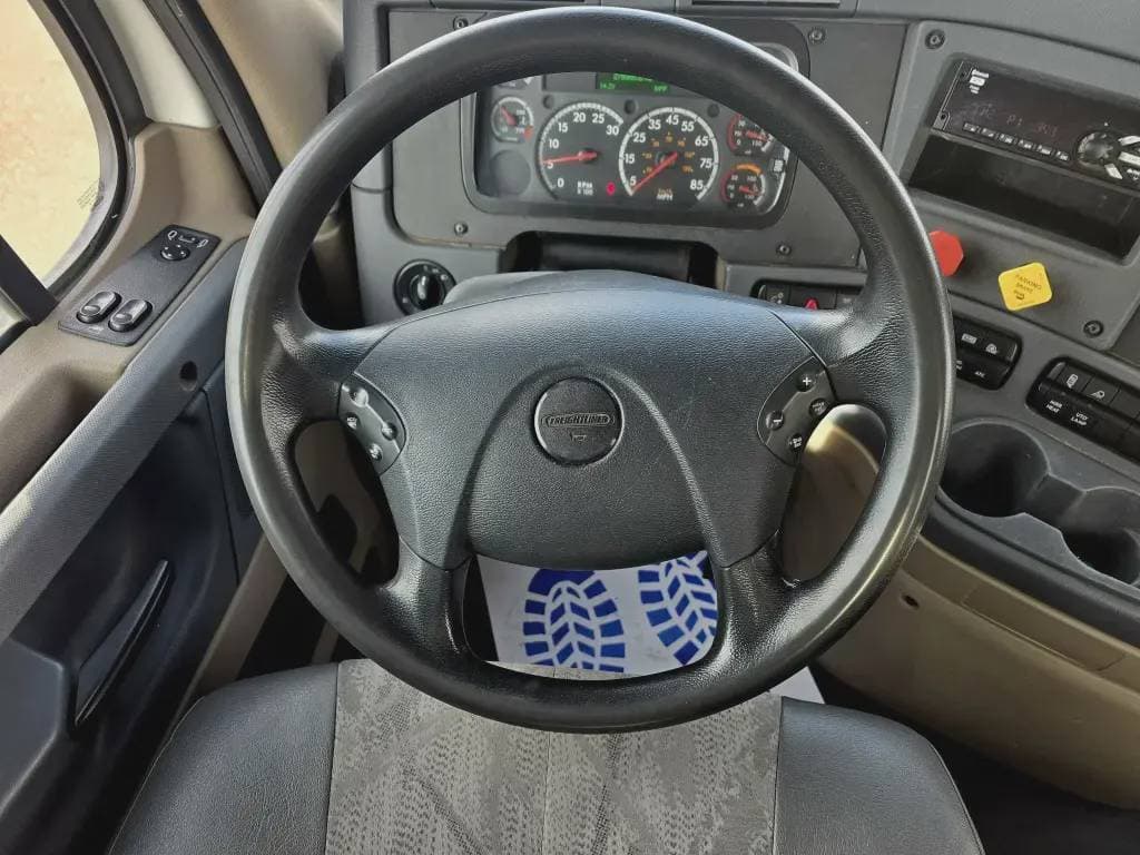 2018 Freightliner Cascadia 113 image 11