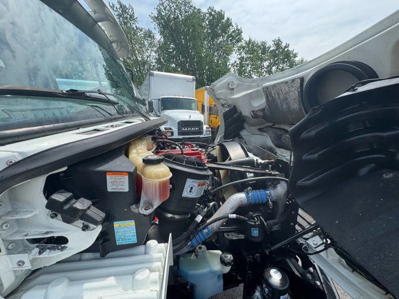 2018 Freightliner Cascadia 125 image 19