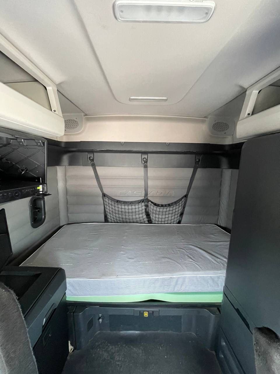 2020 Freightliner Cascadia 126 image 14