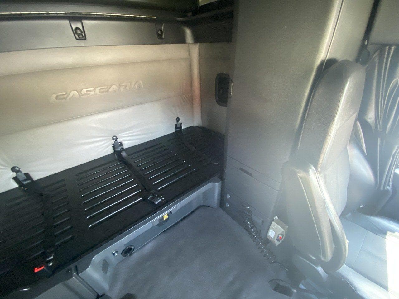 2020 FREIGHTLINER Cascadia CA126 Tandem Axle Sleeper image 19