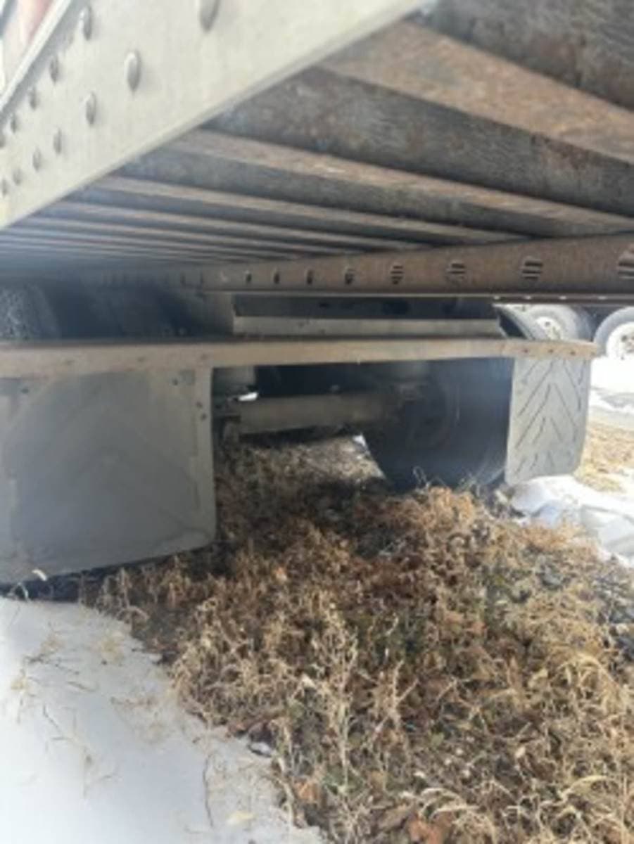 2016 Great Dane 7211TZ-1 53 ft Reefer Trailer - Single Axle, Roll up Door image 11