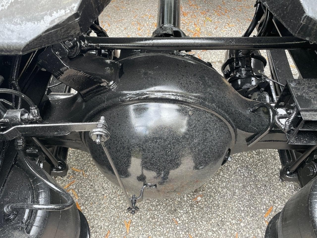 2019 Freightliner Cascadia 116 image 11