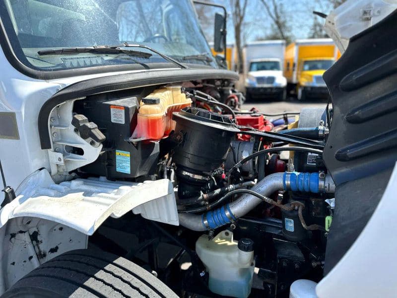 2019 Freightliner Cascadia 125 image 12