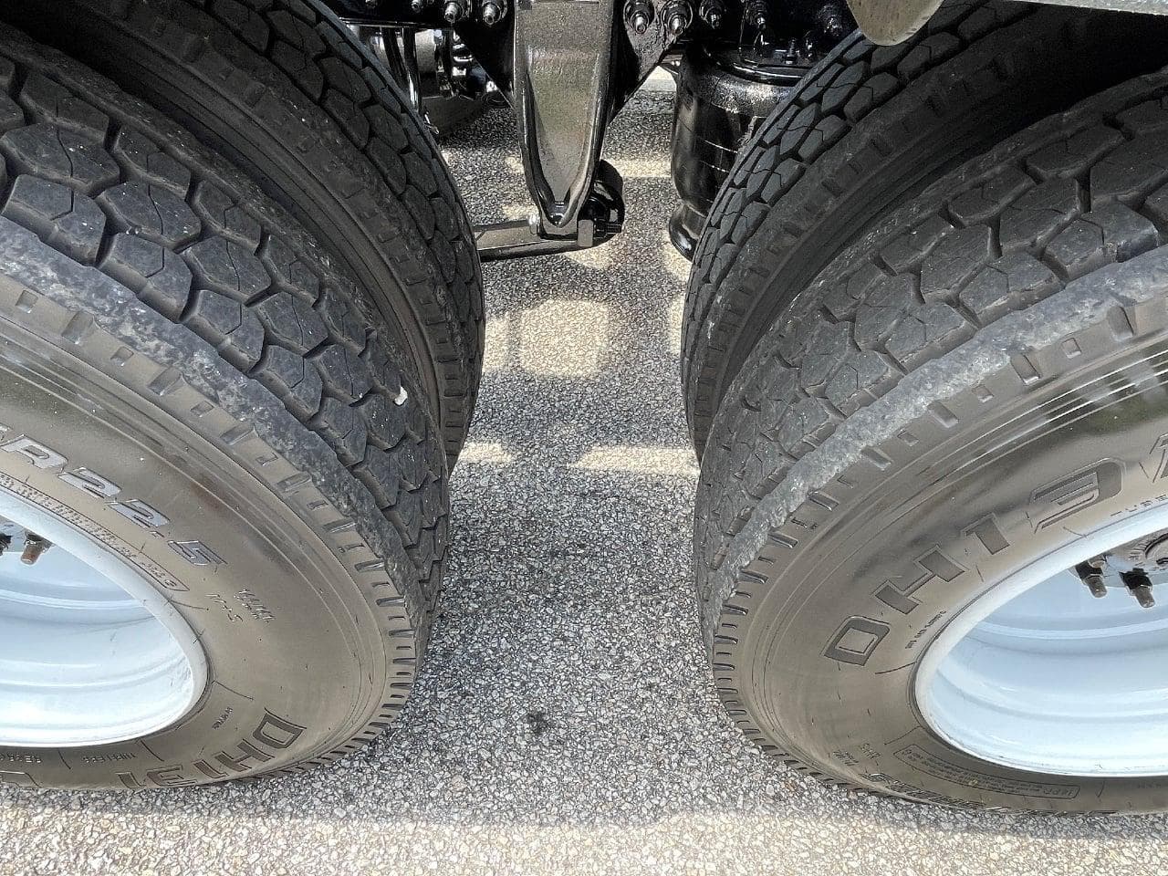 2019 Freightliner Cascadia 113 image 14