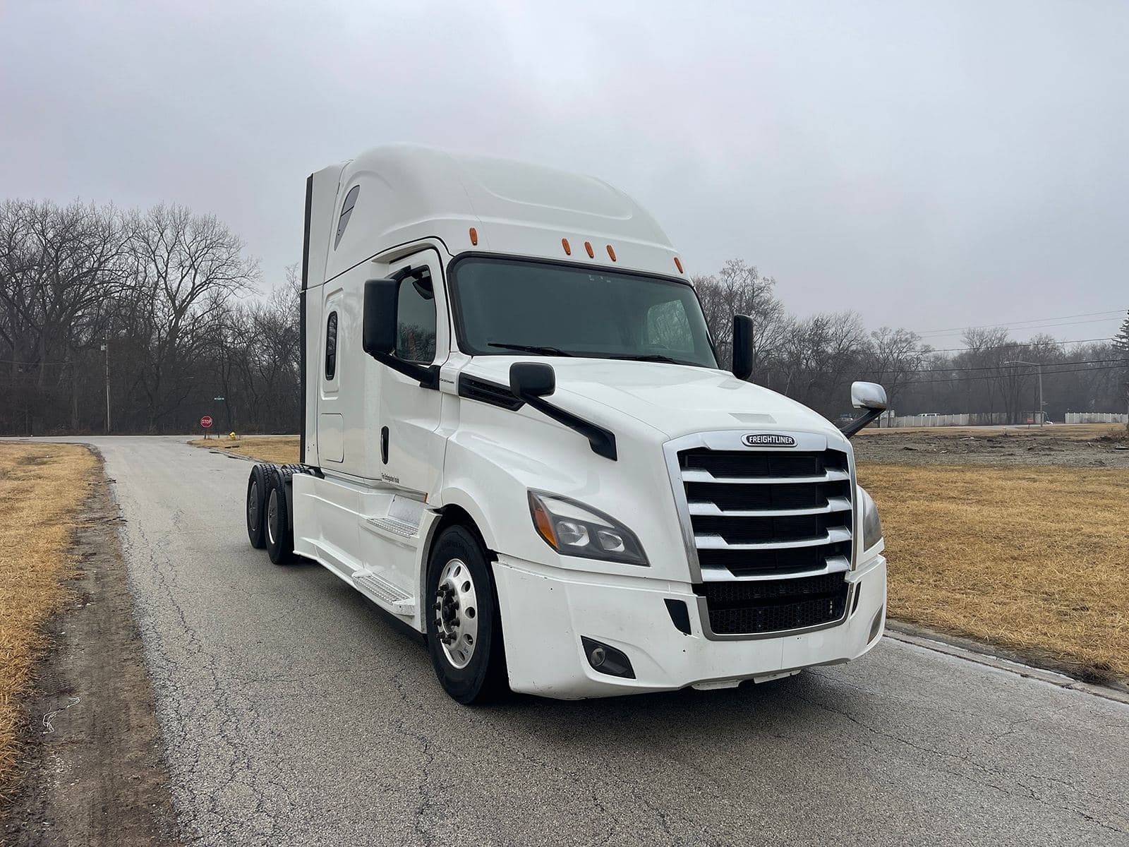 2020 Freightliner Cascadia 126 image 3