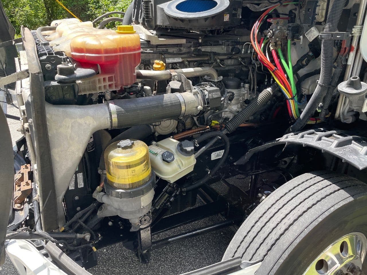 2019 Freightliner Cascadia 126 image 29