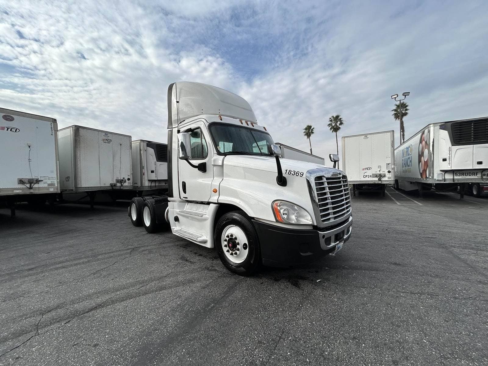 2018 Freightliner Cascadia 113 image 3