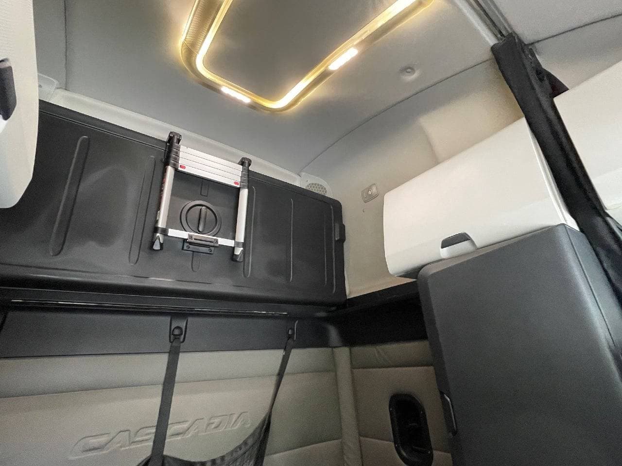 2019 Freightliner Cascadia 126 image 29