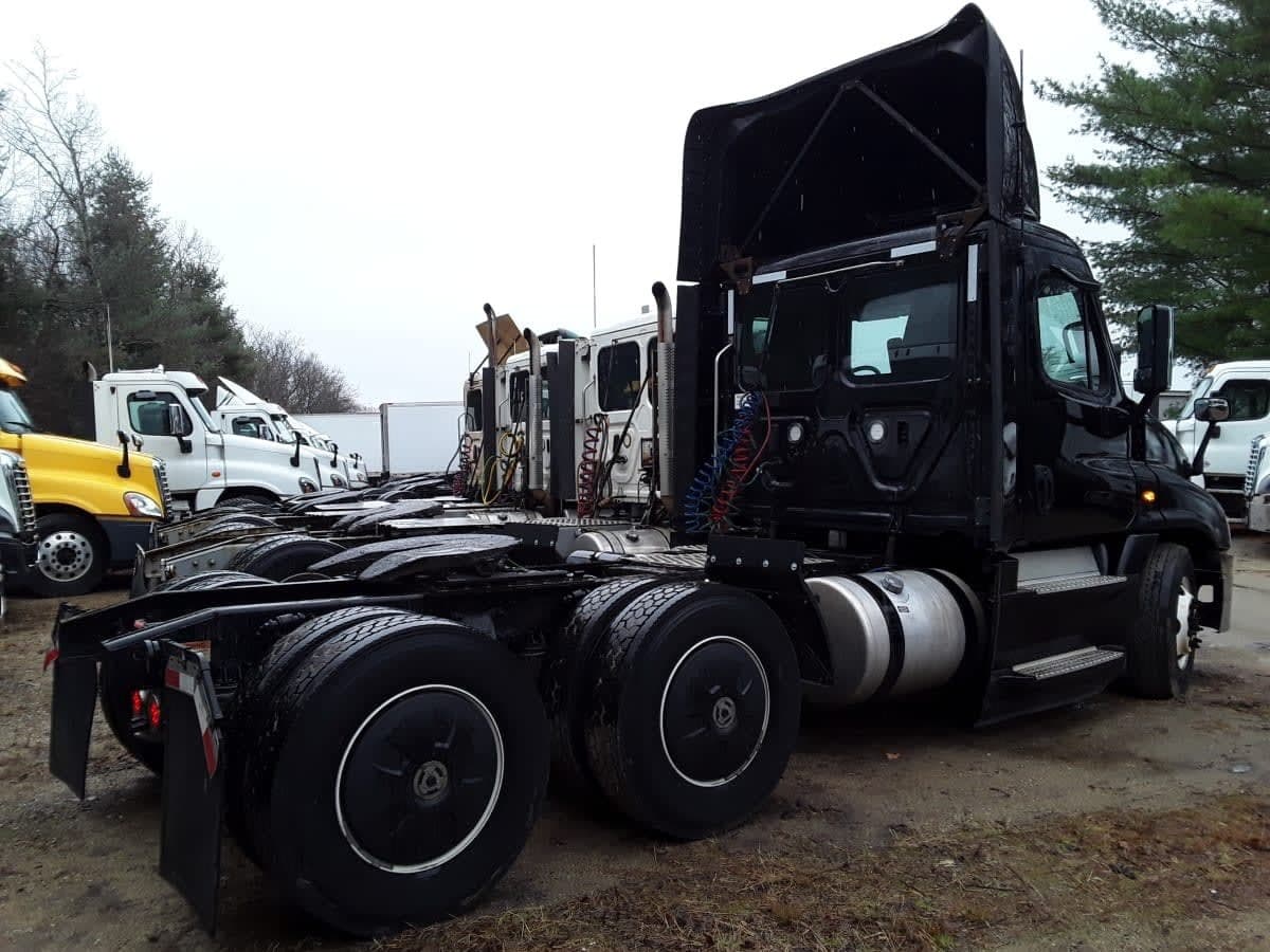 Used 2019 FREIGHTLINER Conventional - Day Cab - CASCADIA 125 For Sale image 5