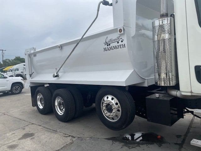 2019 Freightliner Cascadia 113 image 4