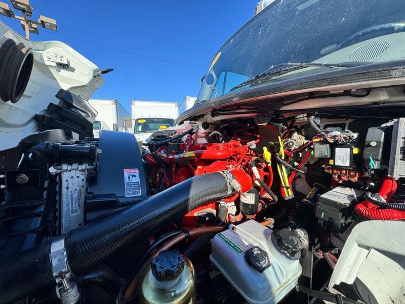 2021 Freightliner Cascadia 125 image 19