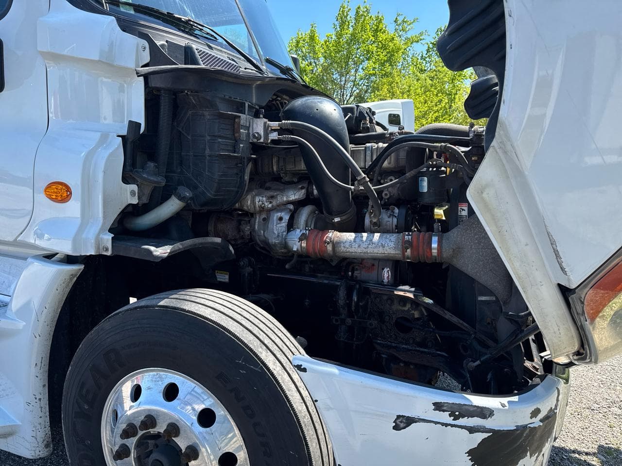 2015 Freightliner Cascadia 125 image 6