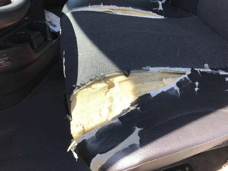 2021 Freightliner Cascadia image 15