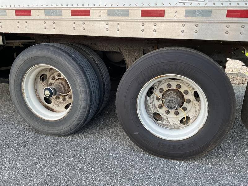 2020 Great Dane 28 PUP image 4