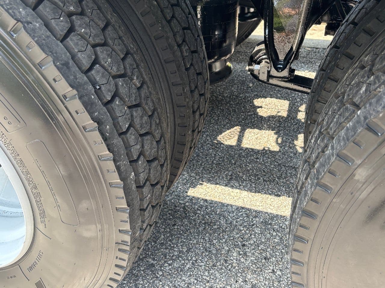 2019 Freightliner Cascadia 113 image 13