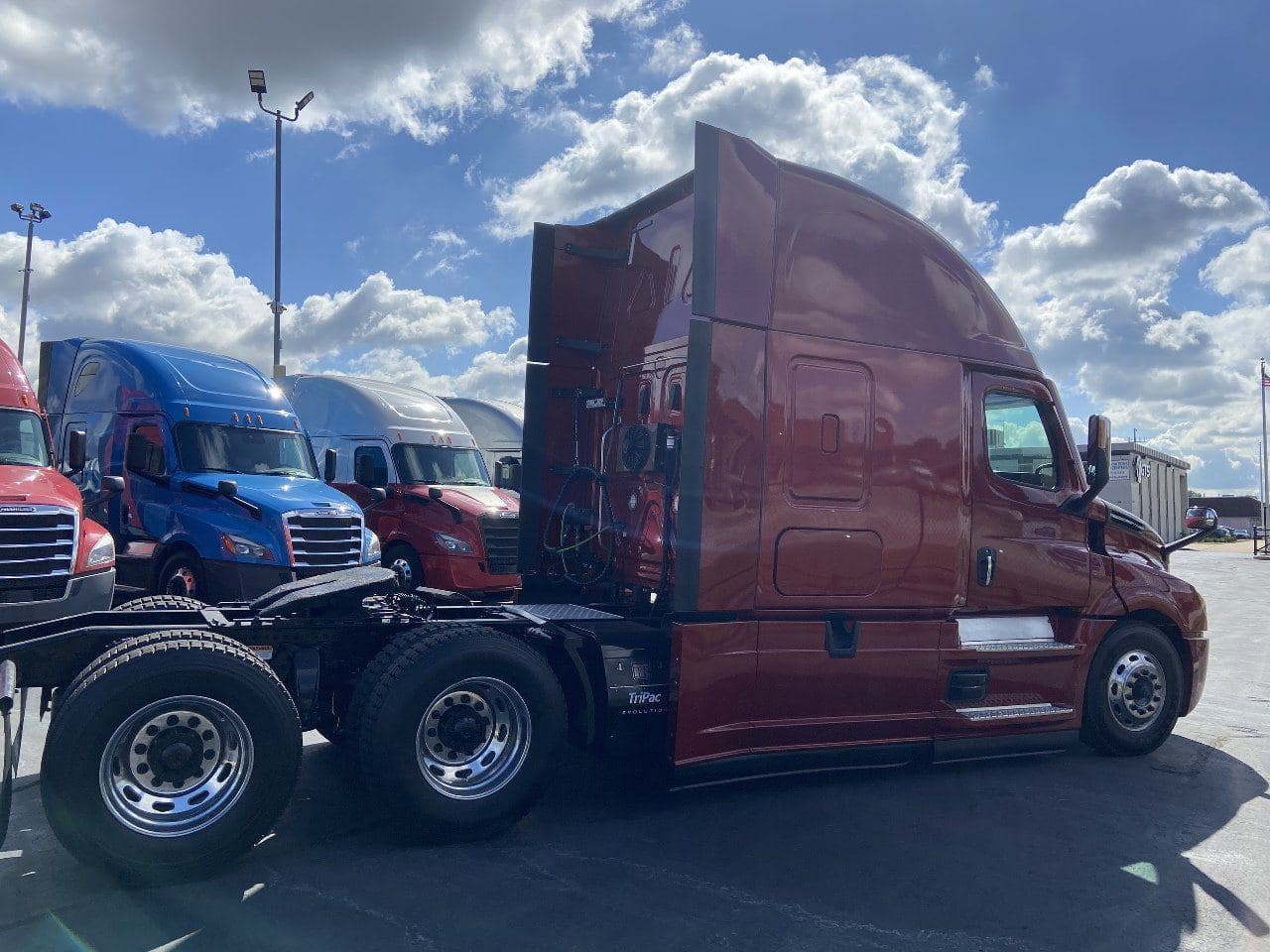 2020 FREIGHTLINER Cascadia CA126 Tandem Axle Sleeper image 4