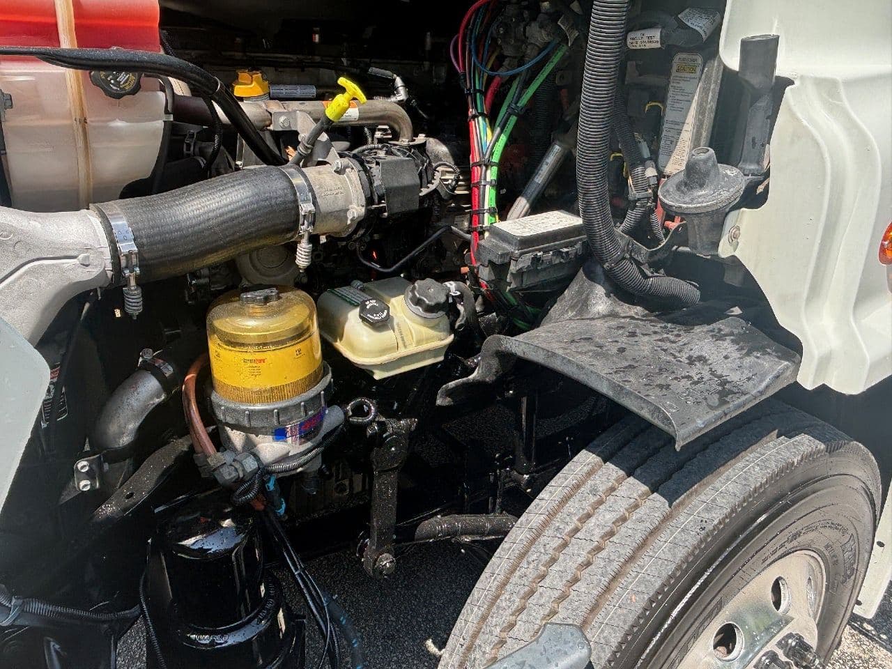 2019 Freightliner Cascadia 113 image 29