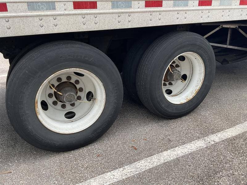 2020 Great Dane 28 PUP image 4