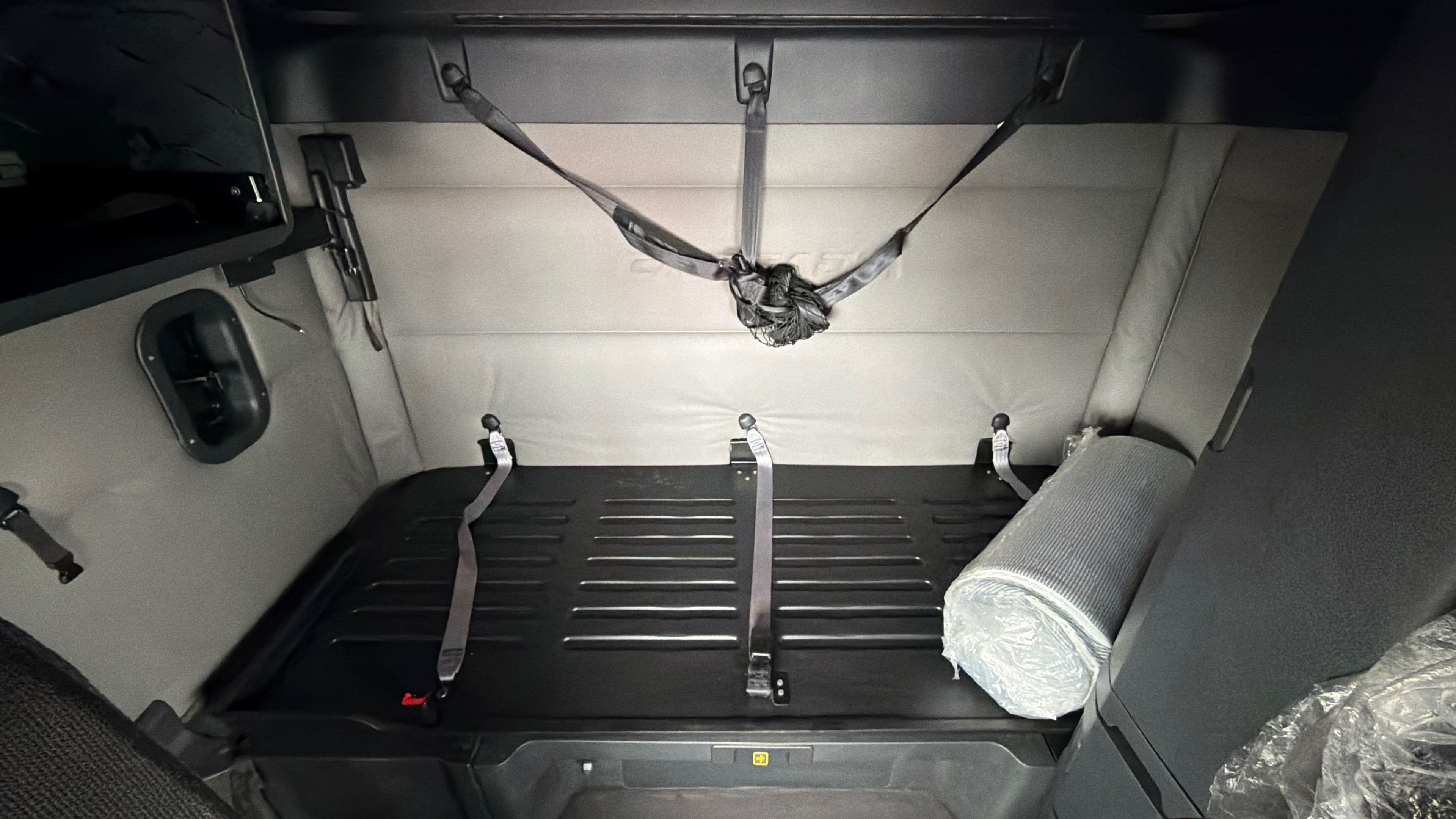 2020 Freightliner Cascadia 116 image 10