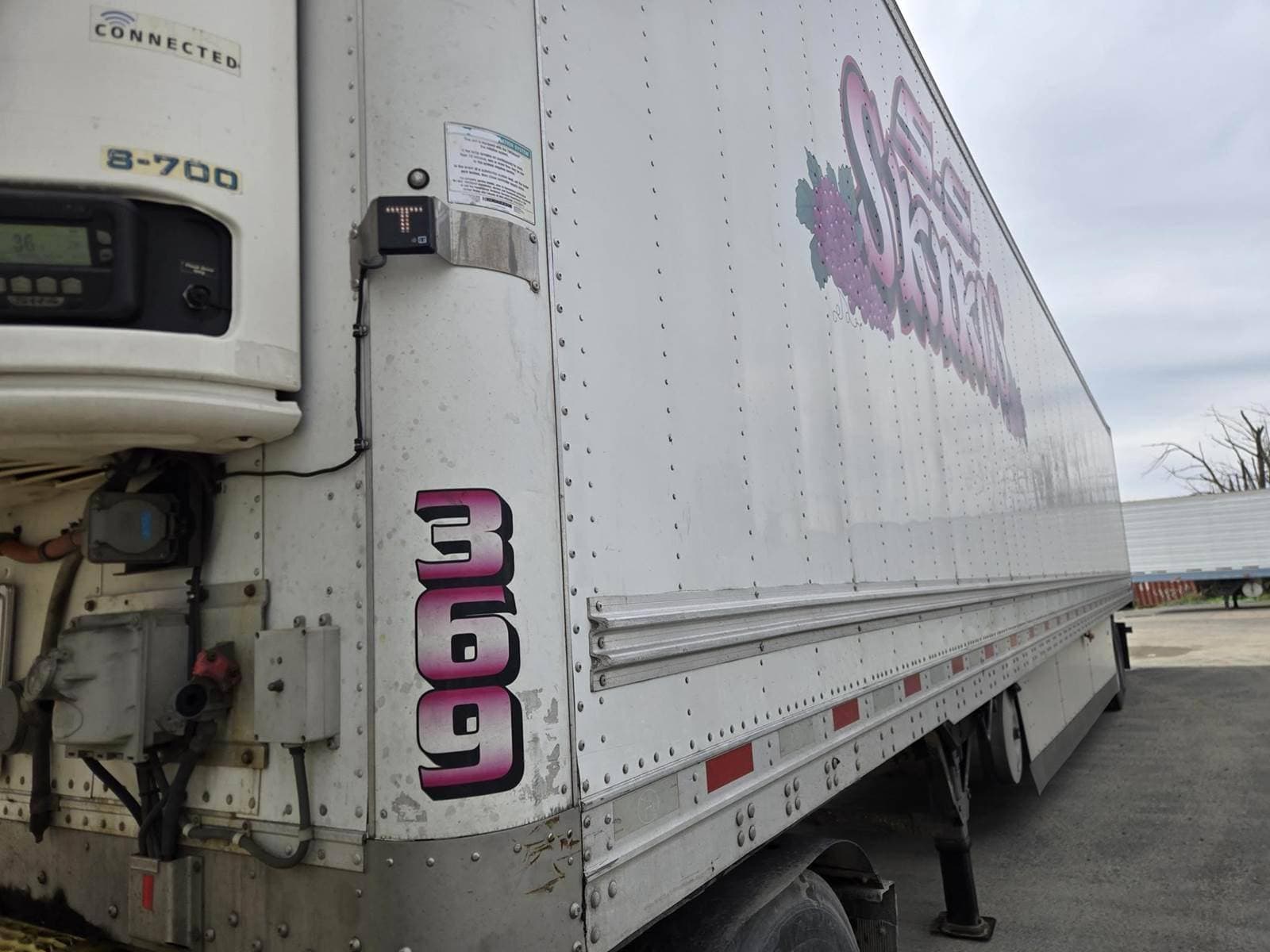 2019 Great Dane 53 ft Reefer Trailer - Fixed Axle, Swing Door, Thermo King image 12