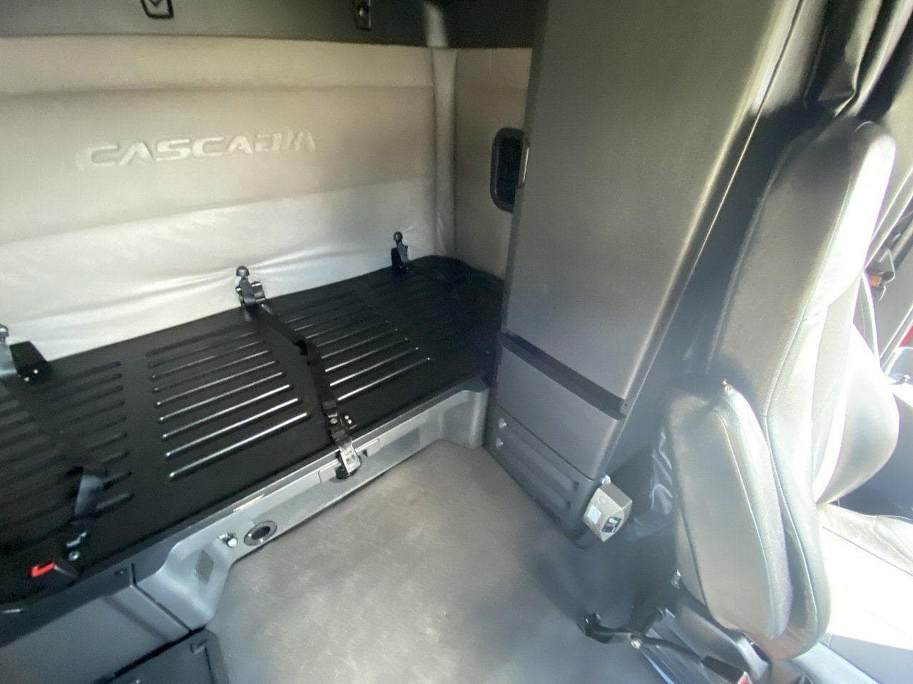 2020 FREIGHTLINER Cascadia CA126 Tandem Axle Sleeper image 20