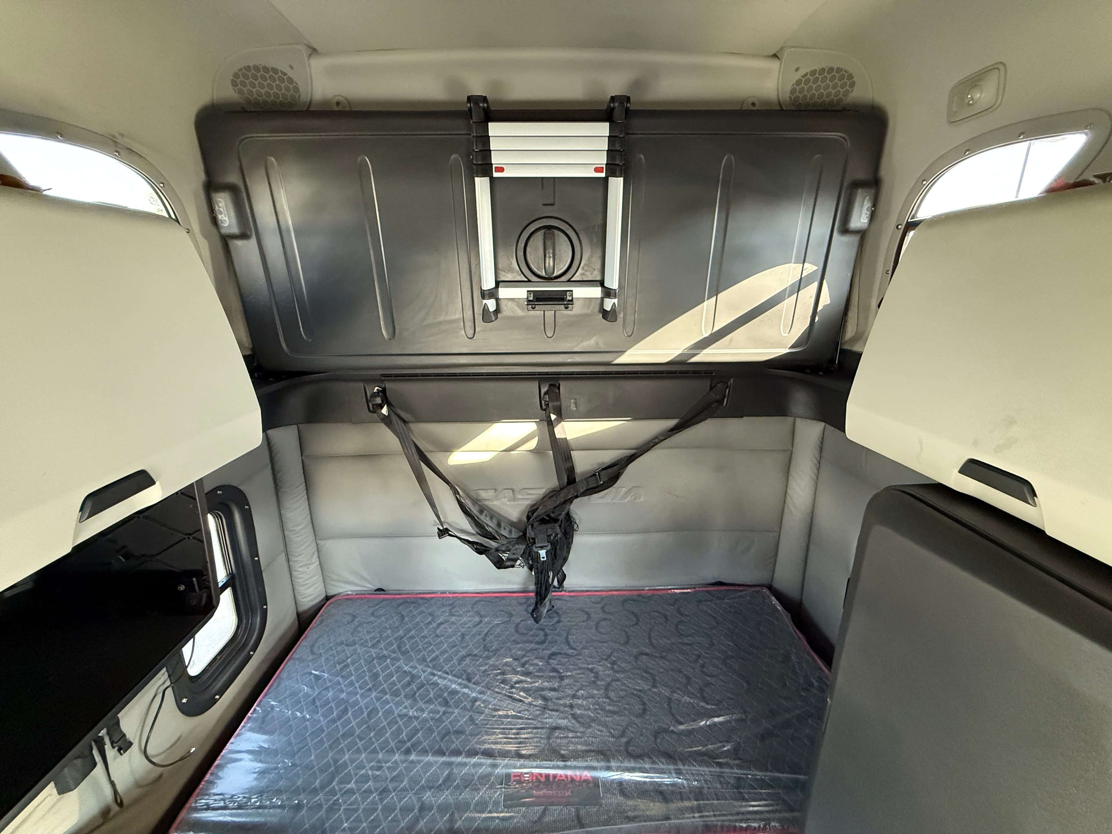 2020 Freightliner Cascadia 126 image 19