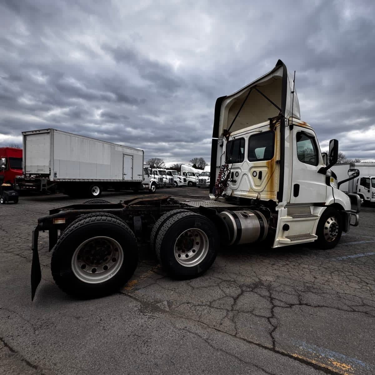 Used 2019 FREIGHTLINER Conventional - Day Cab - CASCADIA 116 image 4