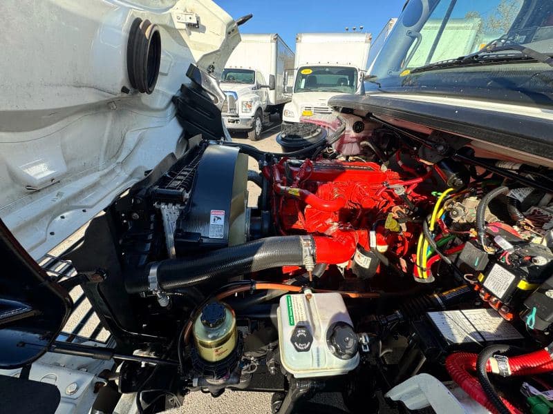 2021 Freightliner Cascadia 125 image 20