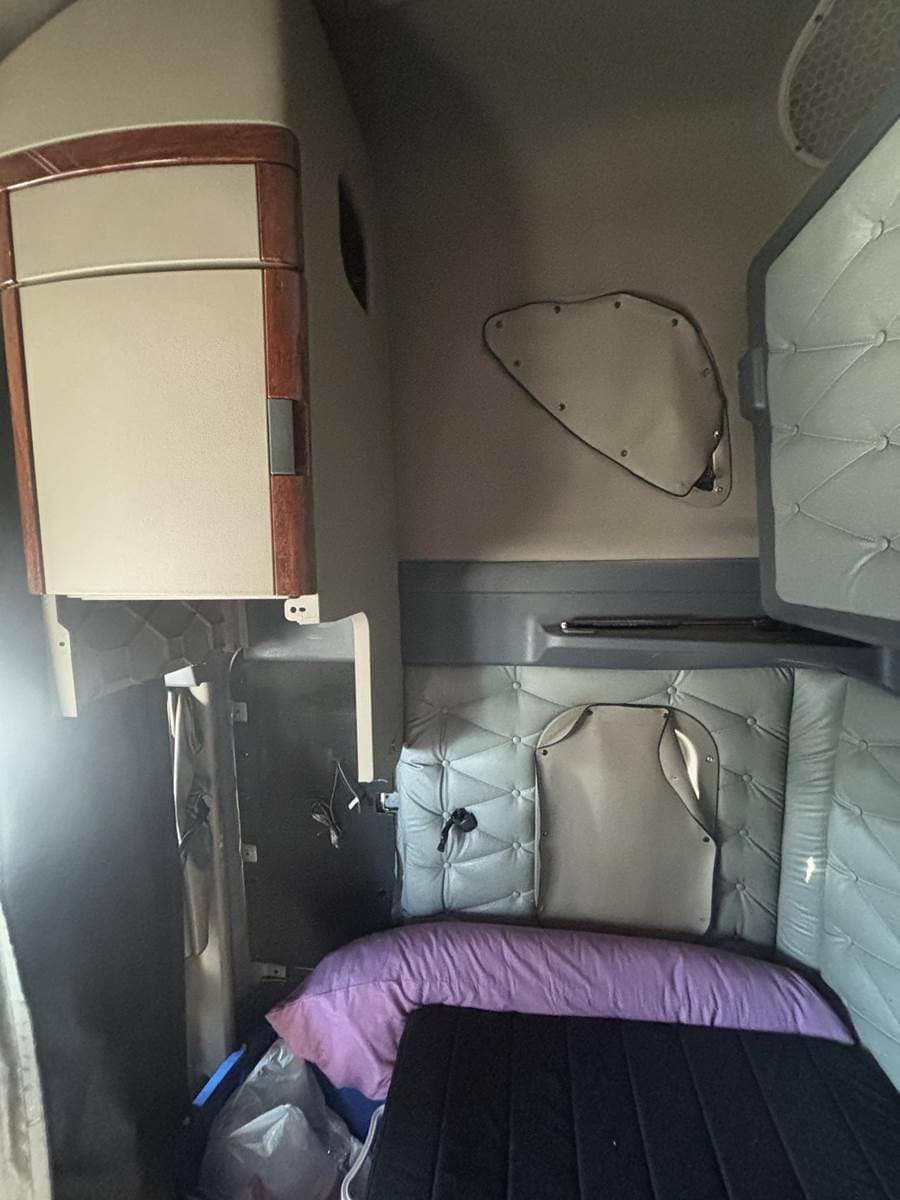 2017 Freightliner Cascadia 113 image 14