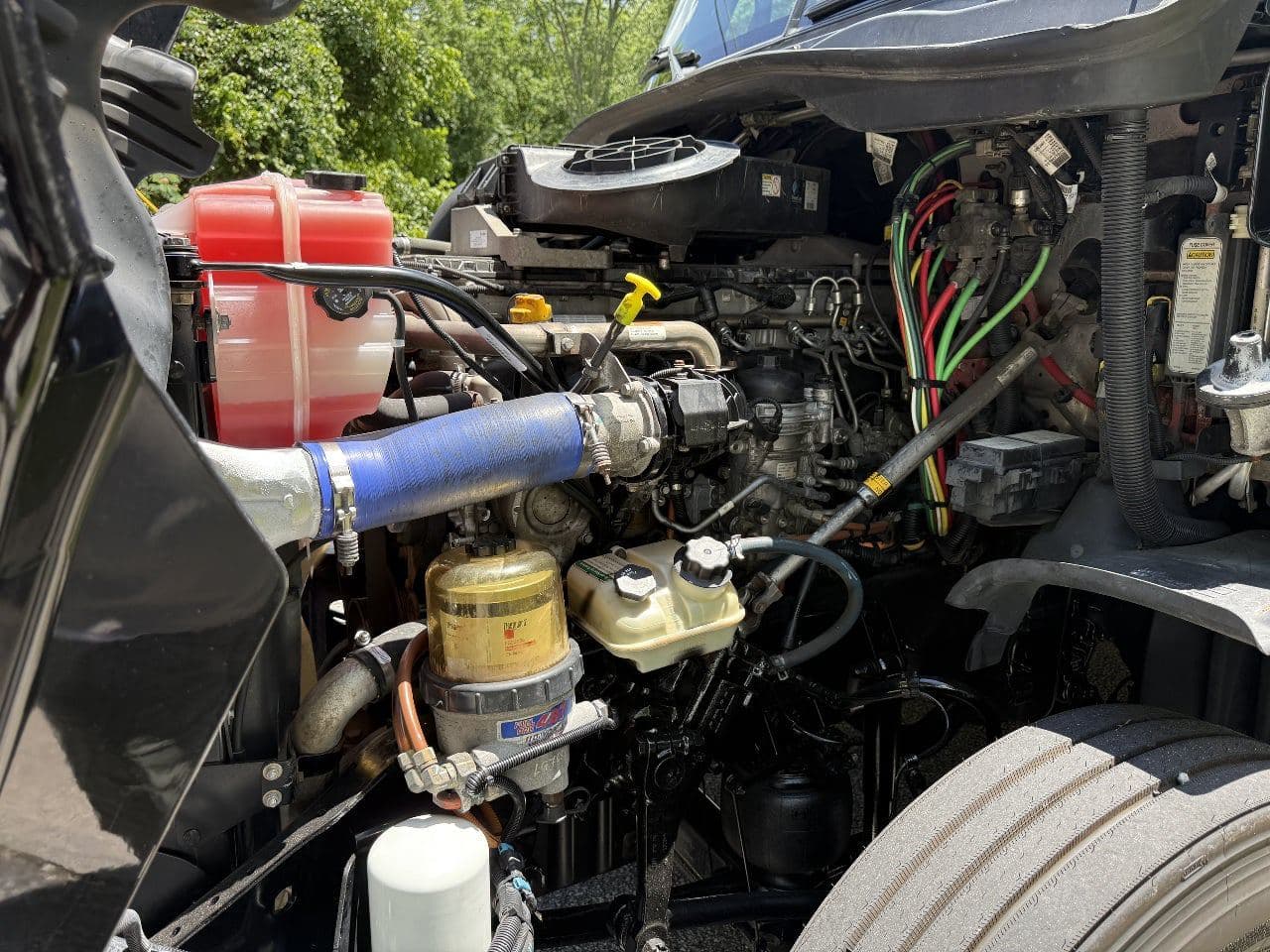 2020 Freightliner Cascadia 125 image 20