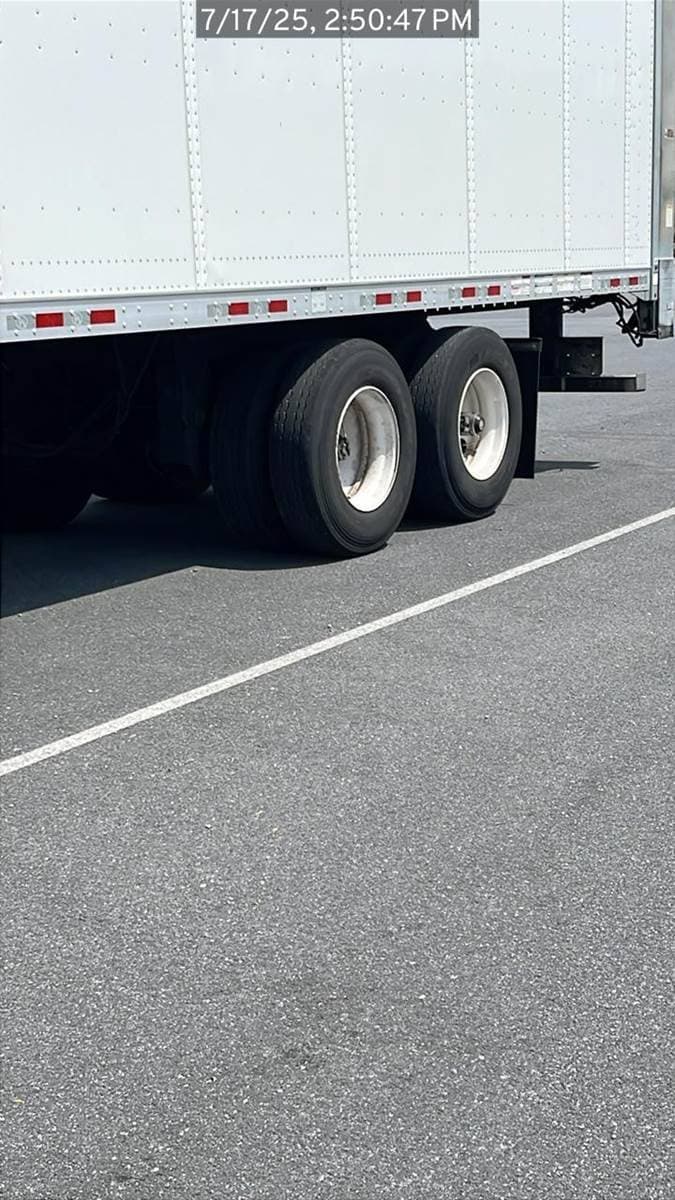 2017 Great Dane Other image 6