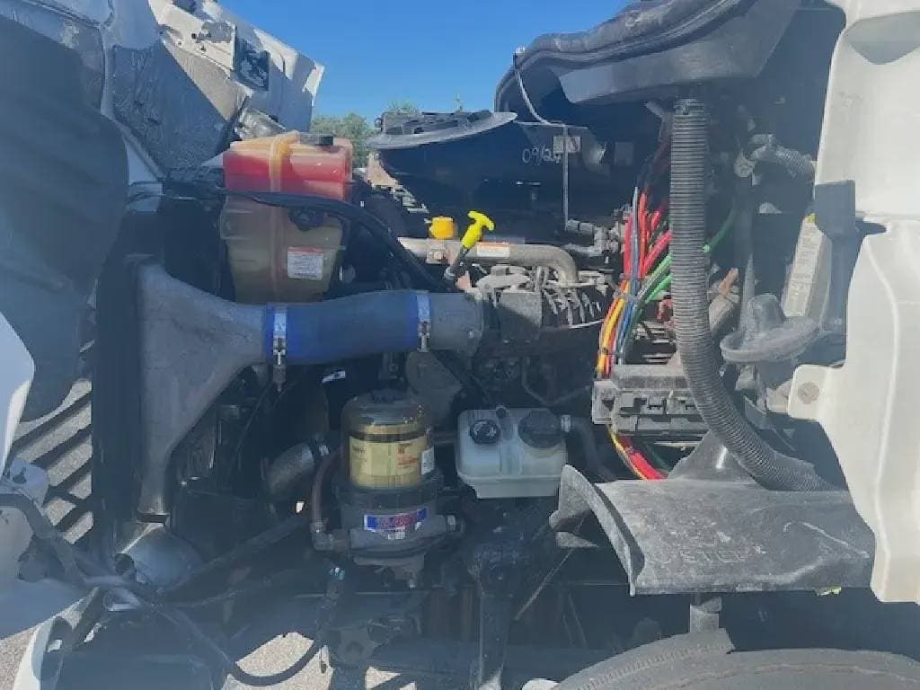 2019 Freightliner Cascadia 113 image 13