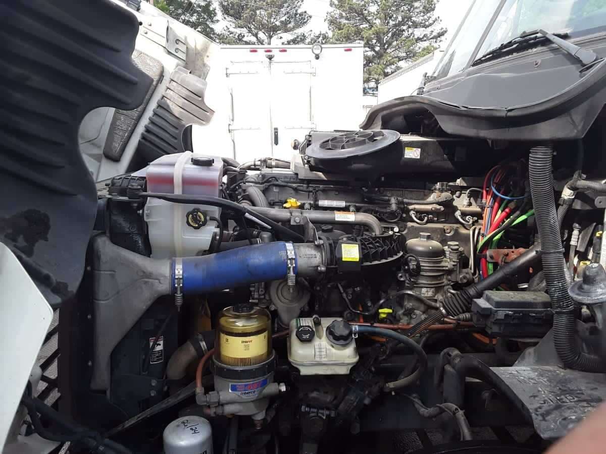 Used 2019 FREIGHTLINER Conventional - Sleeper Truck - CASCADIA 125 image 9