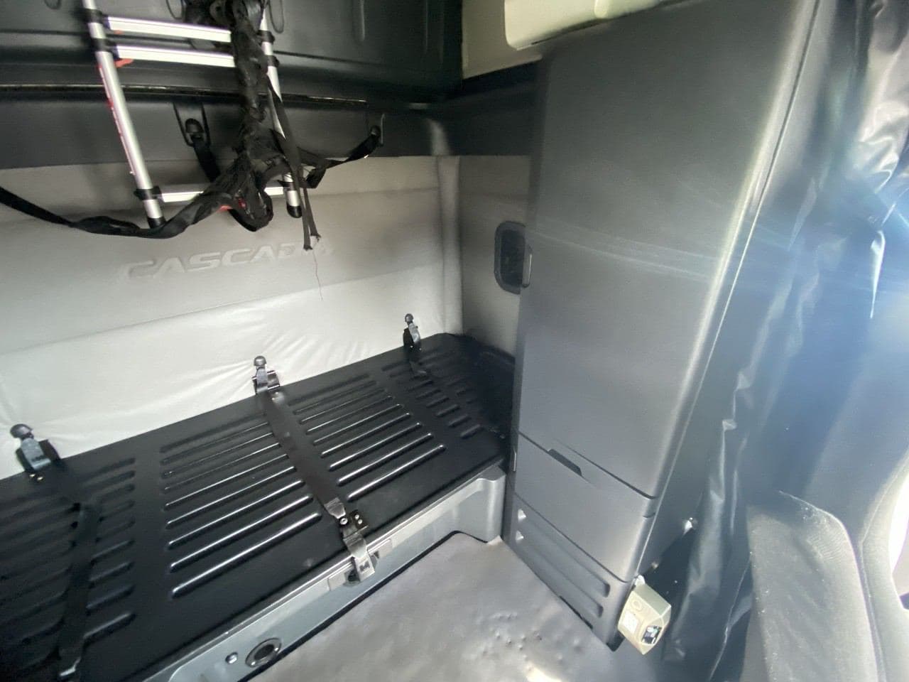 2021 Freightliner Cascadia image 13