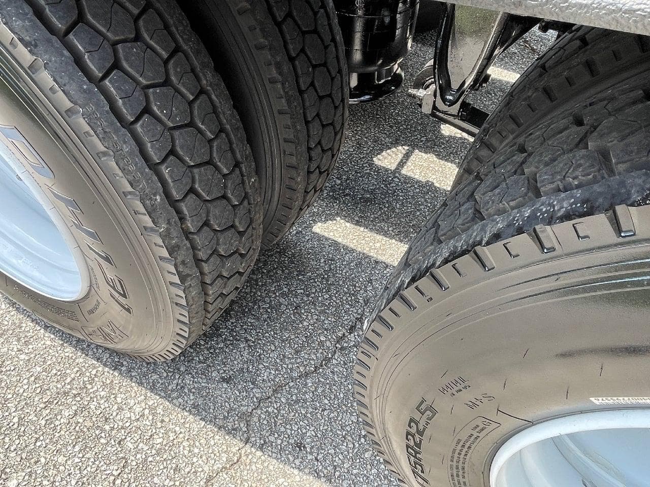 2019 Freightliner Cascadia 113 image 11