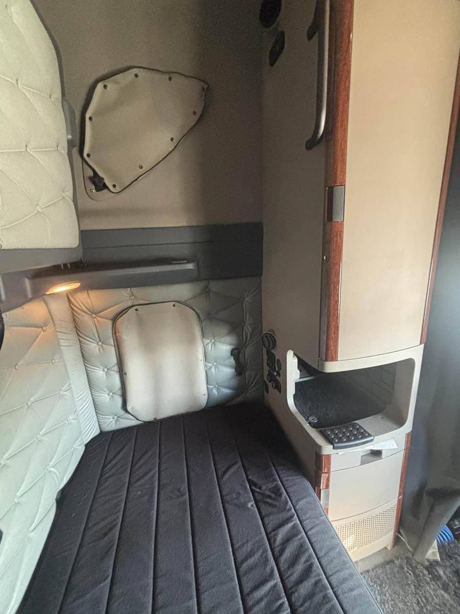 2017 Freightliner Cascadia 113 image 13