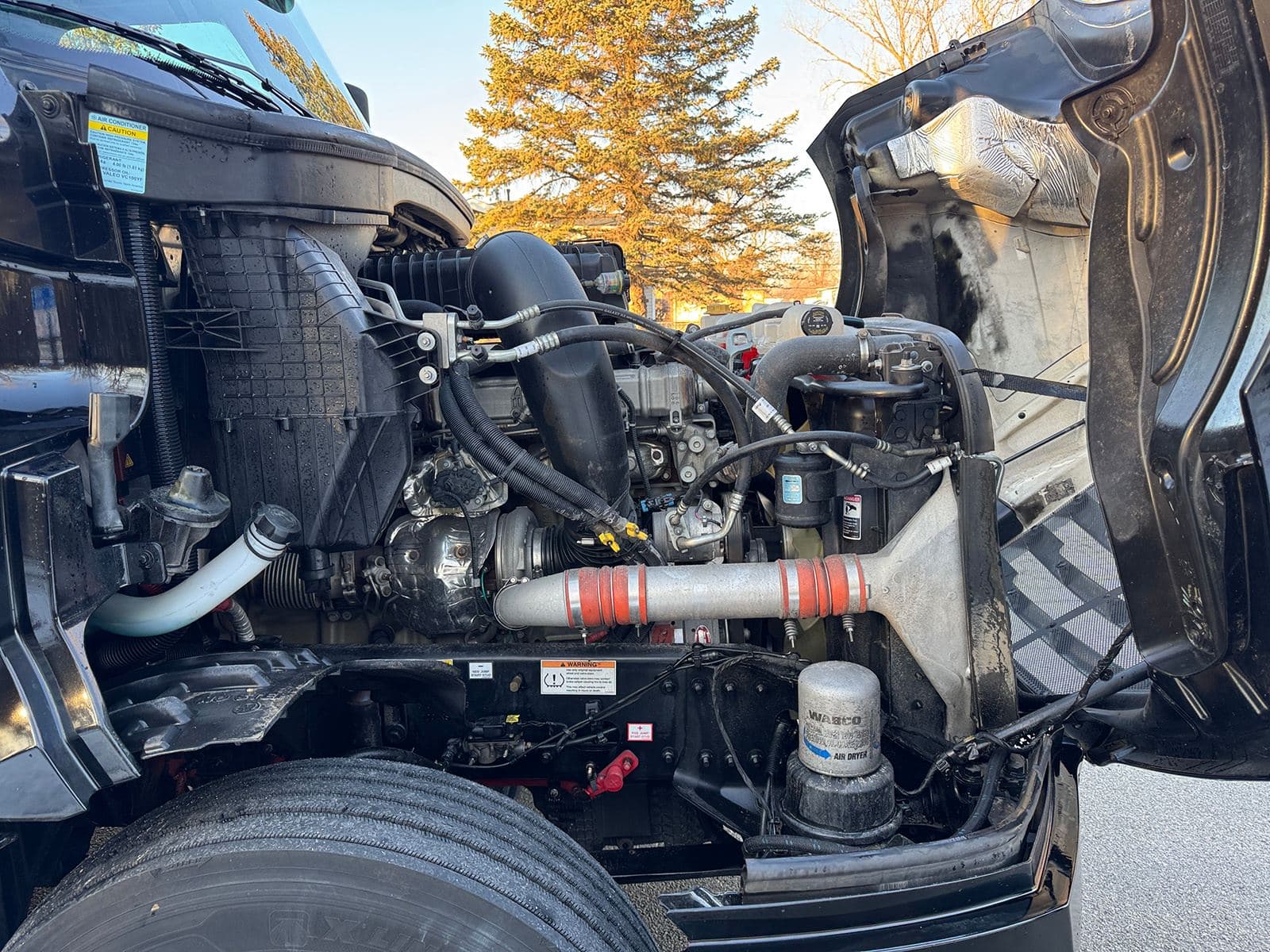 2022 Freightliner Cascadia image 19