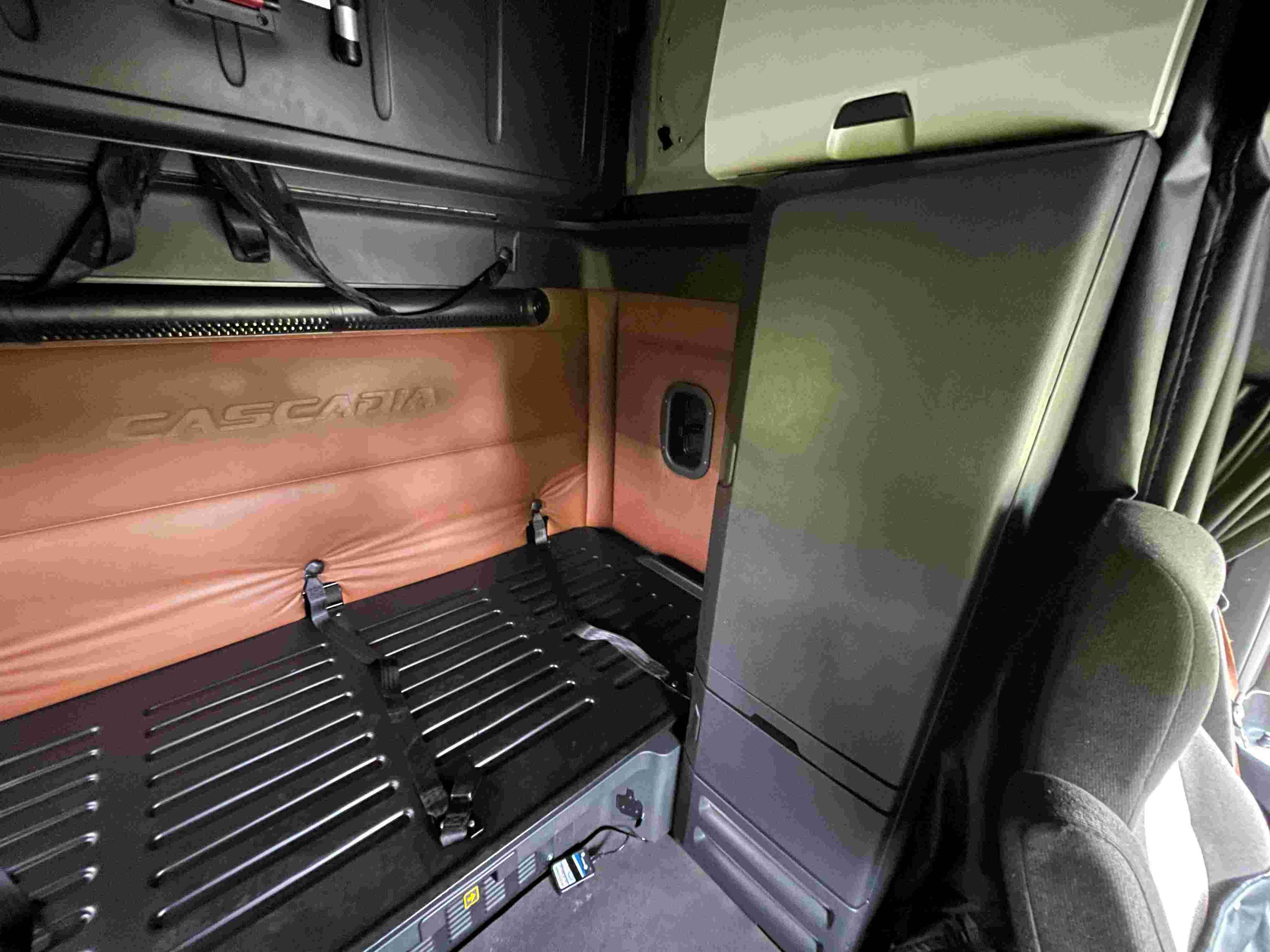 2021 Freightliner Cascadia 126 image 21