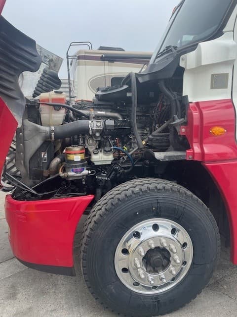 2019 Freightliner Cascadia 113 image 10