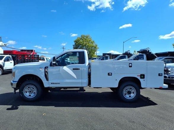 2025 Ford F350 image 4