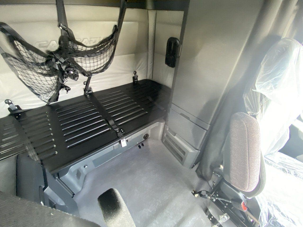 2020 FREIGHTLINER Cascadia CA126 Tandem Axle Sleeper image 18