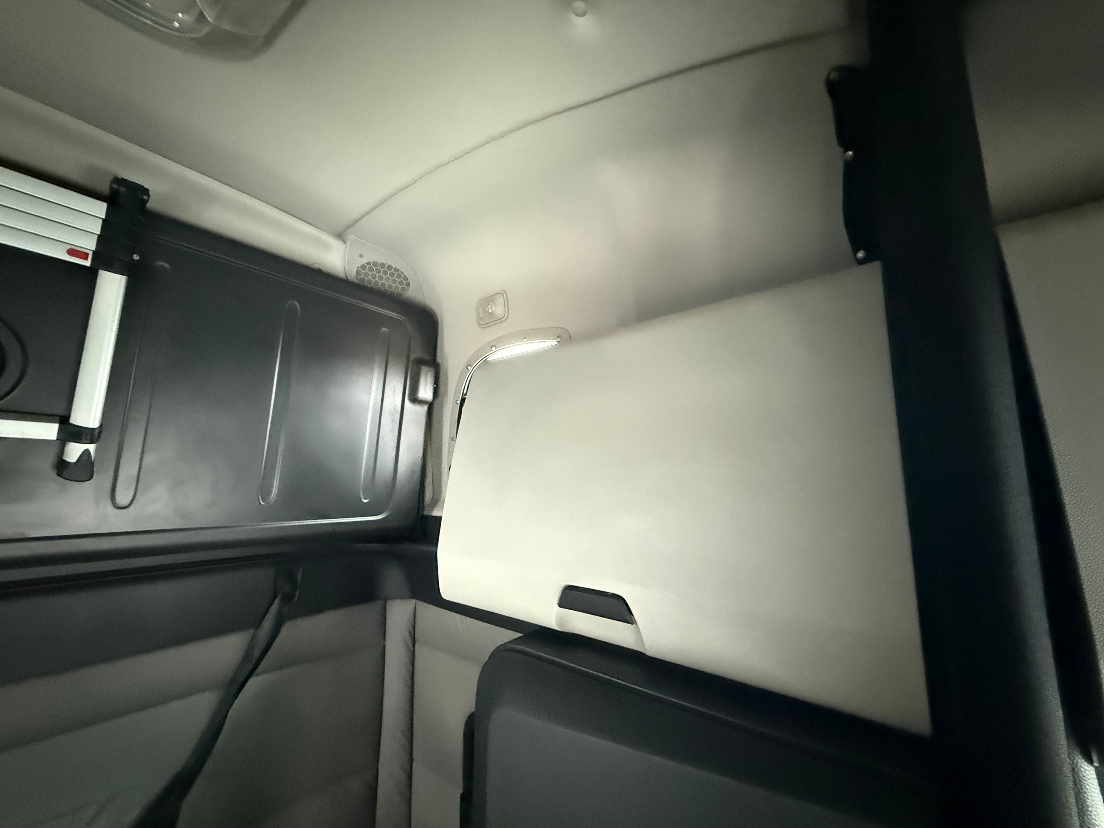 2019 Freightliner Cascadia 126 image 17
