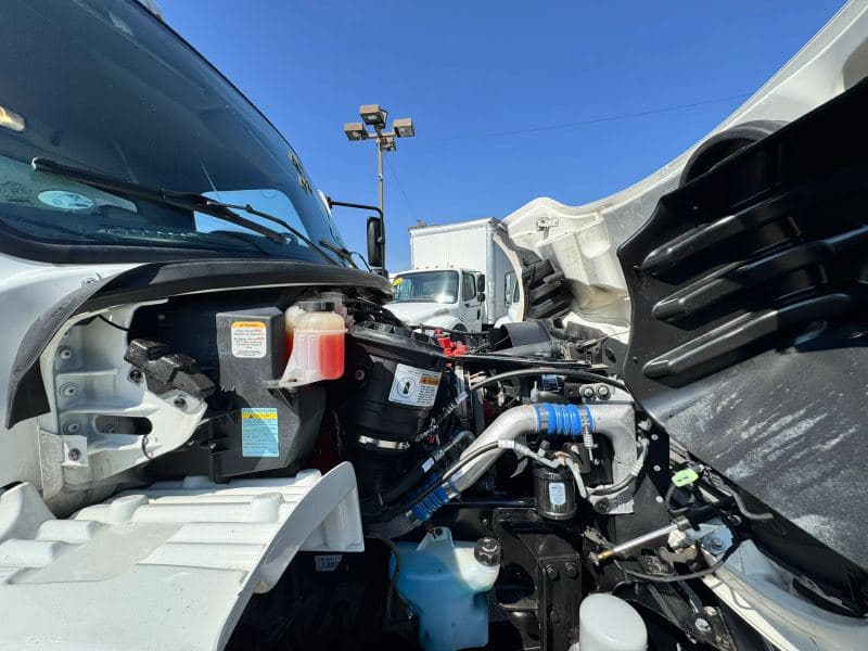 2016 Freightliner Cascadia 125 image 15