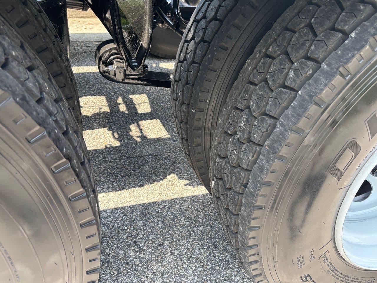 2019 Freightliner Cascadia 113 image 12