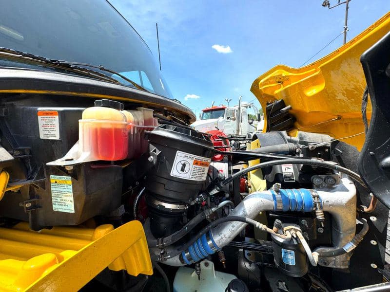 2019 Freightliner Cascadia 125 image 12