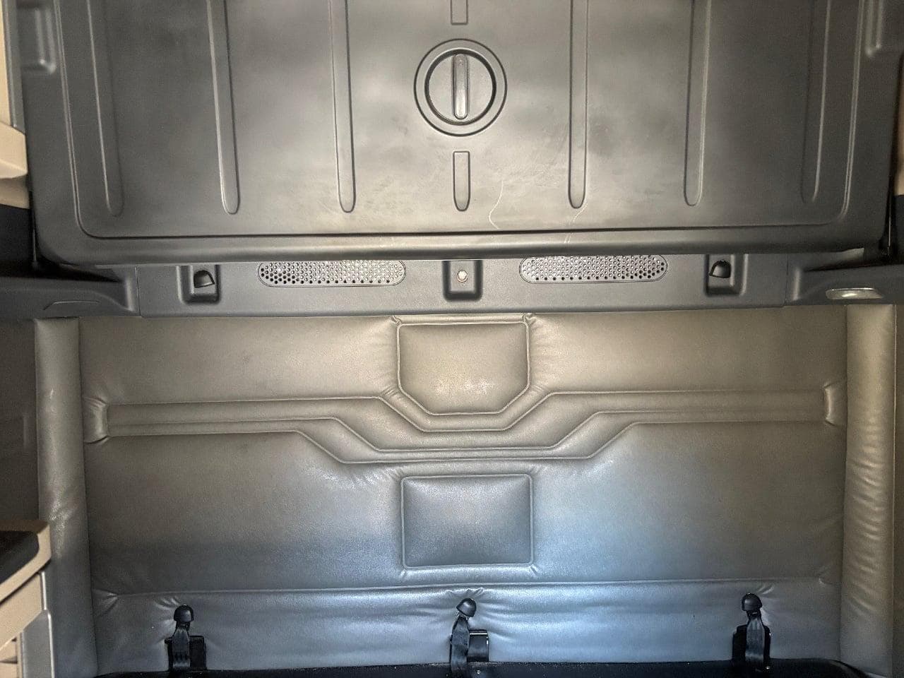 2020 Freightliner Cascadia 125 image 25