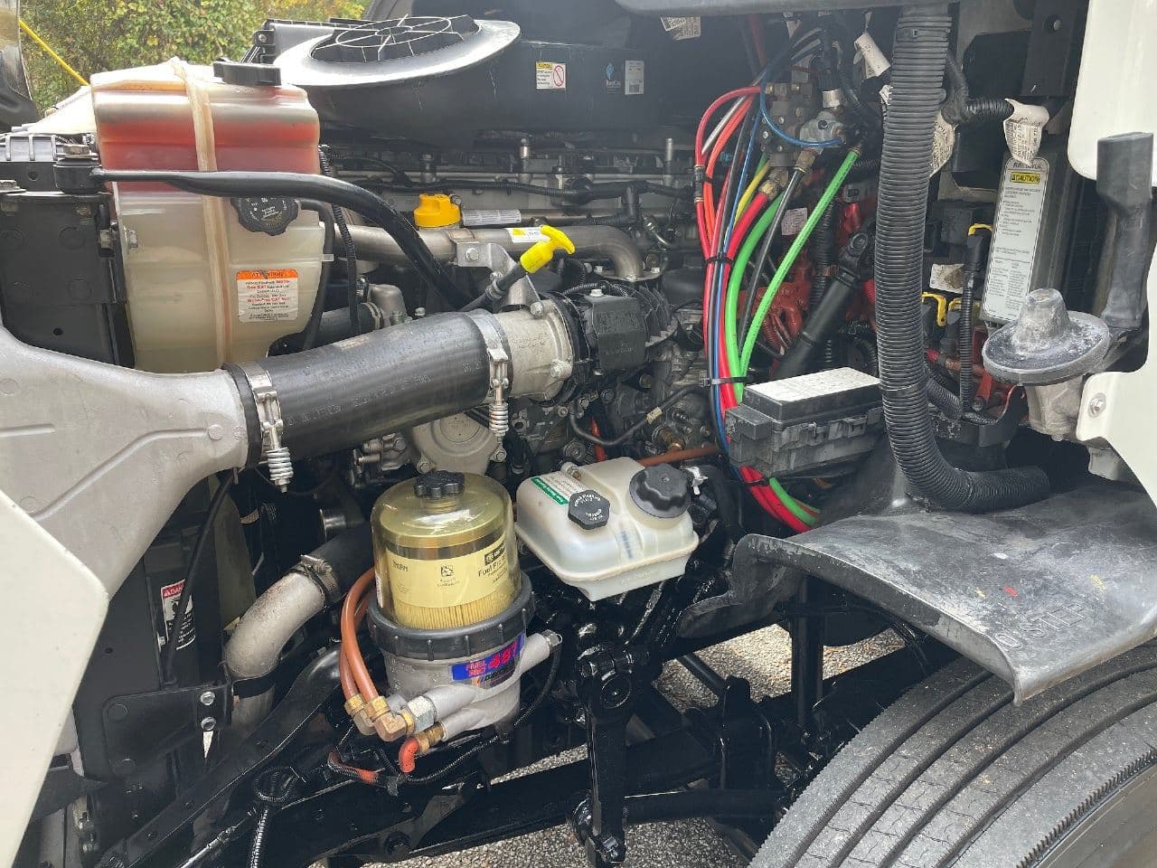 2019 Freightliner Cascadia 116 image 23