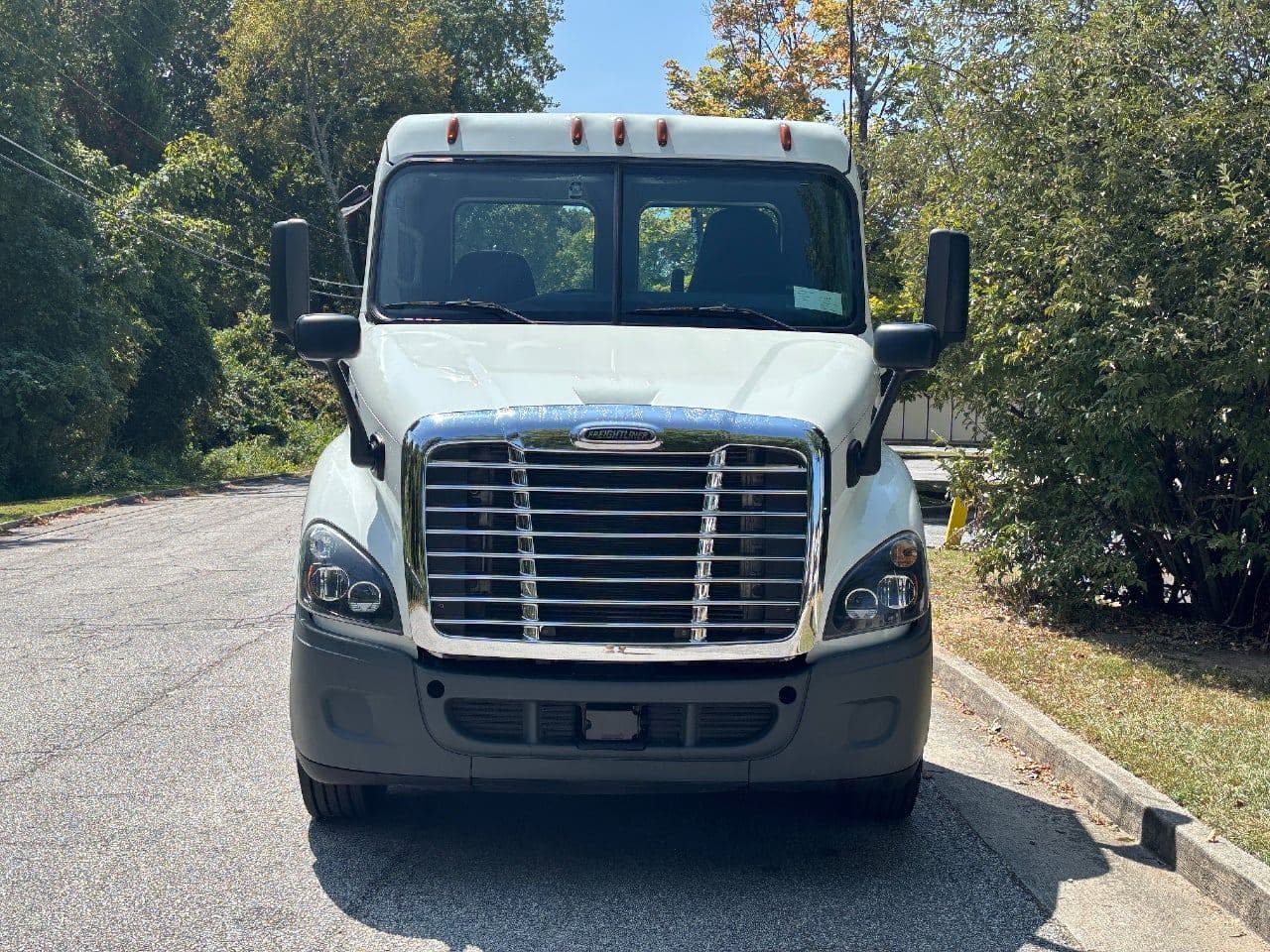 2019 Freightliner Cascadia 113 image 6